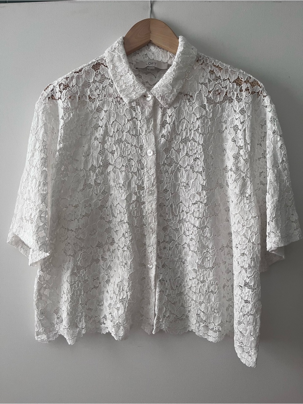 LOFT White Sheer Lace Button-Down Short Sleeve Blouse